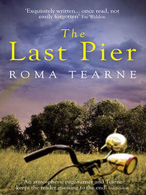 cover image of The Last Pier